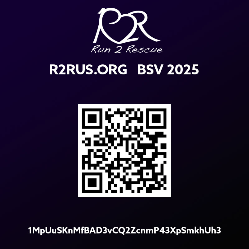 Gift Bitcoin BSV to nonprofit Satoshi Vision QR Code